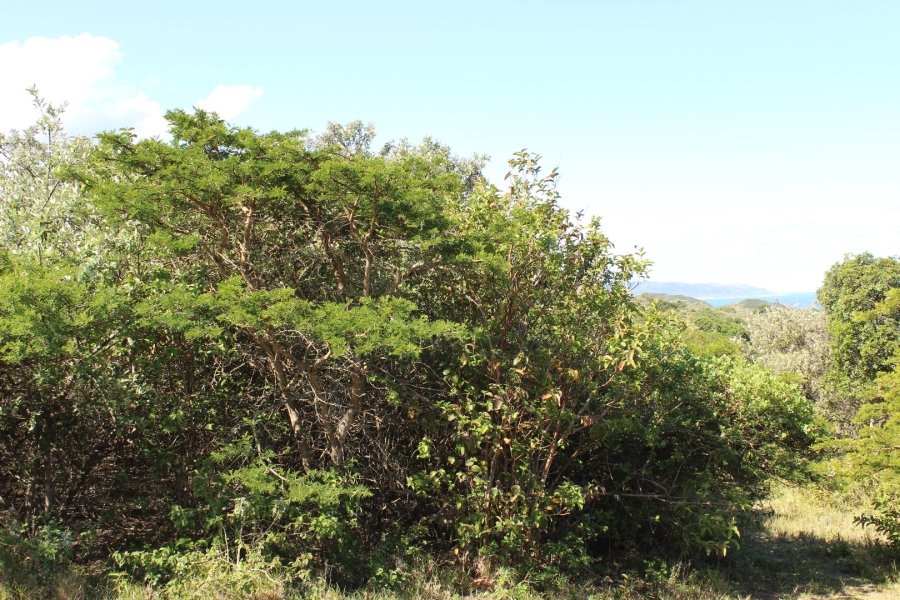 0 Bedroom Property for Sale in Cintsa East Eastern Cape